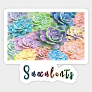 Rainbow Succulents Sticker